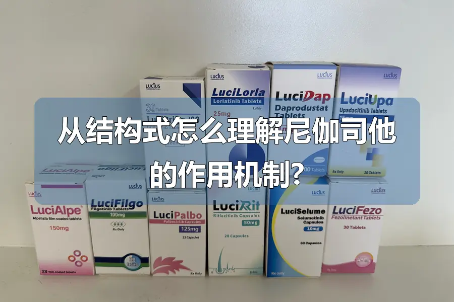 从结构式怎么理解尼伽司他的作用机制?